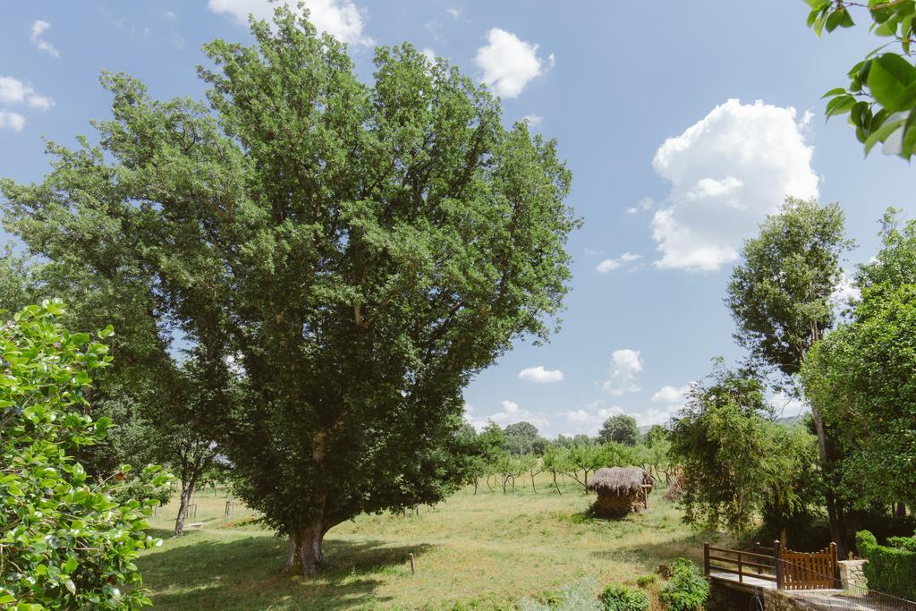 Pazo Da Pena Manzaneda Hotel ภายนอก รูปภาพ